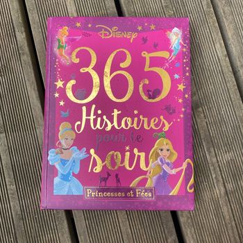 Livres princesse 365 histoires