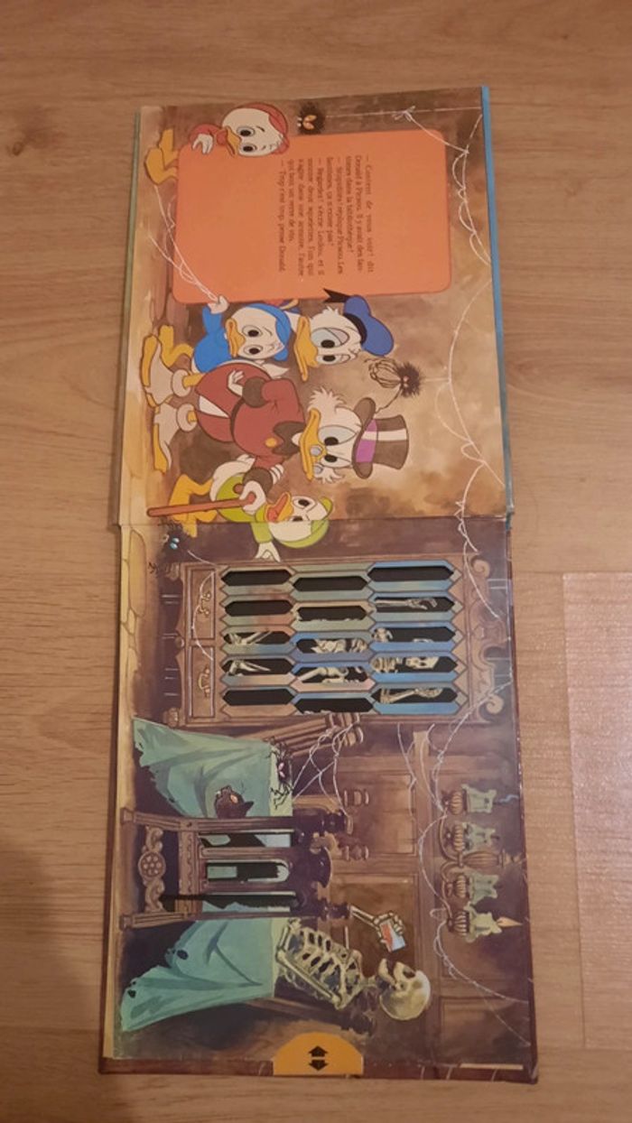 Donald et la maison hantée - photo numéro 6