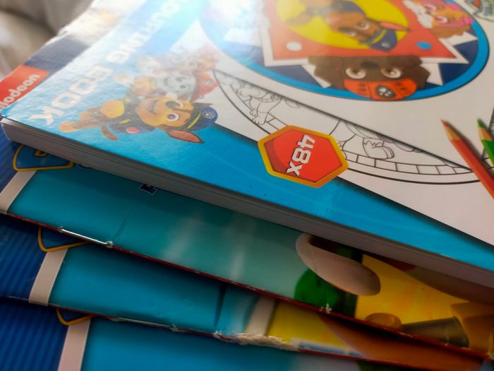 Lot de 4 livres souple Pat patrouille, et un dessins