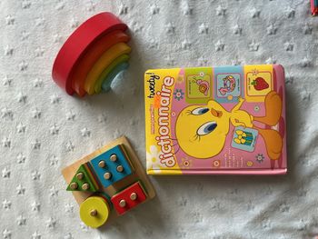 livre mon premier dictionnaire pour apprendre pleins de nouveaux mots