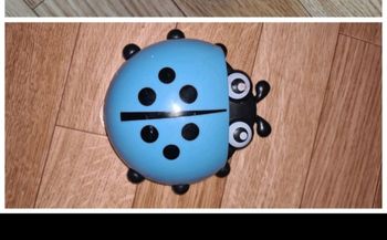 Coccinelle 