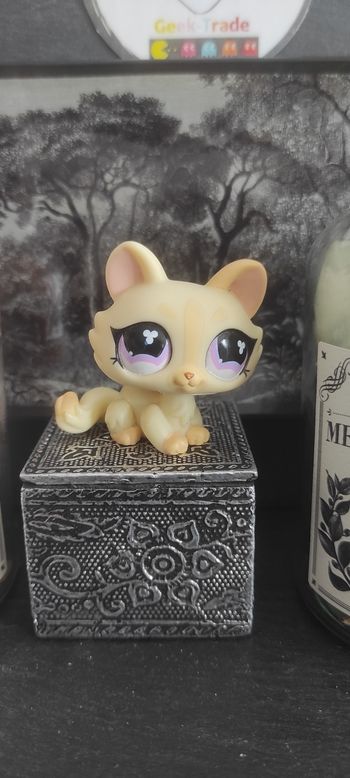 Littlest Petshop Pet Shop LPS Authentic  Authentique cat crouching Sphynx 848