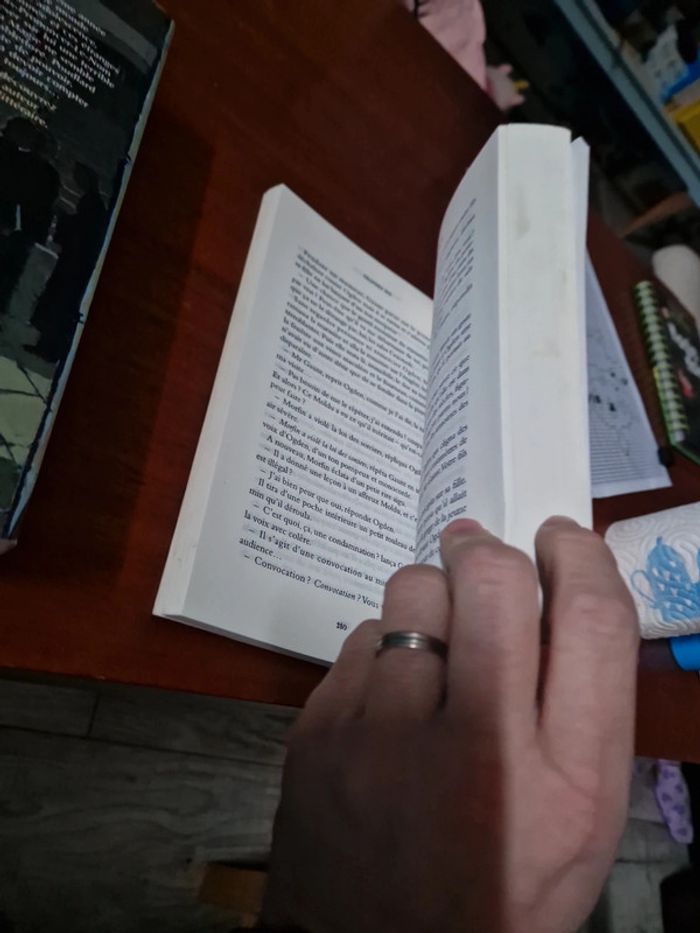 Lot de 2 livres harry potter gallimard 5 et 6 - photo numéro 8