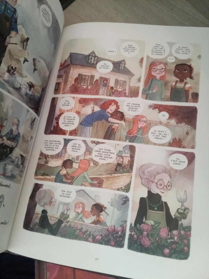 Lot de 4 grandes bd - photo numéro 10