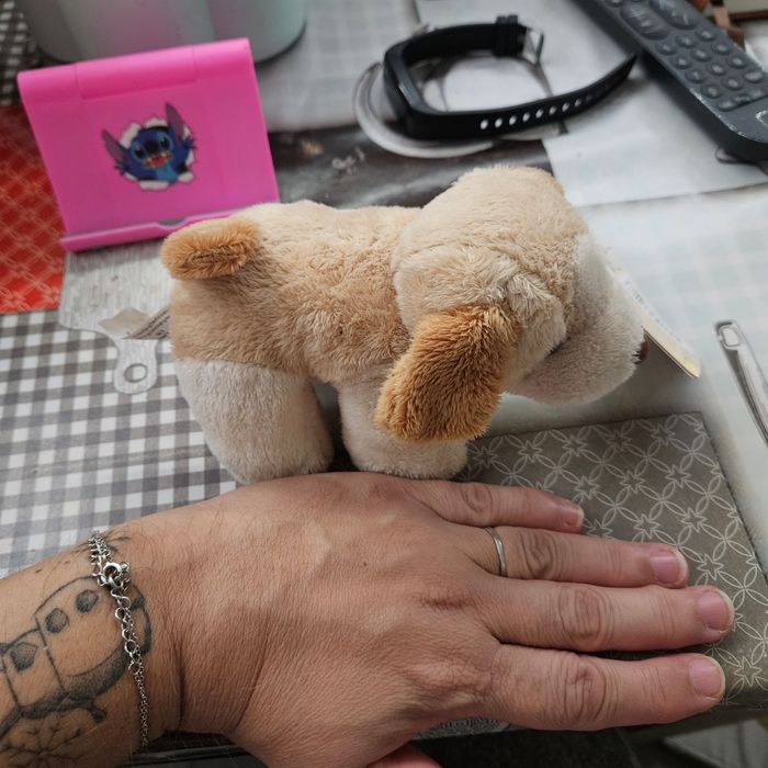 Peluche - photo numéro 4