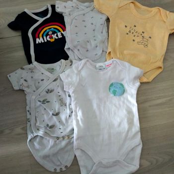 Body manches courtes