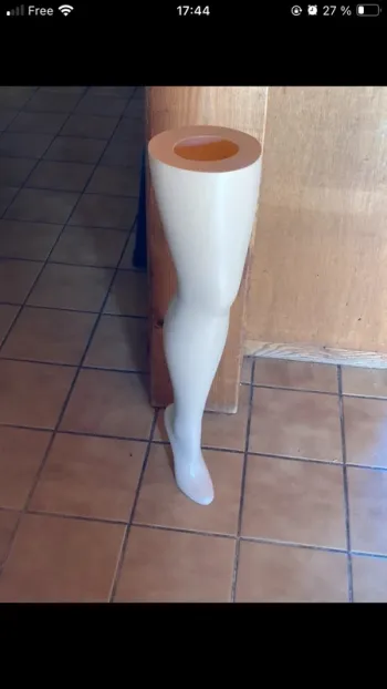 Jambe de présentation