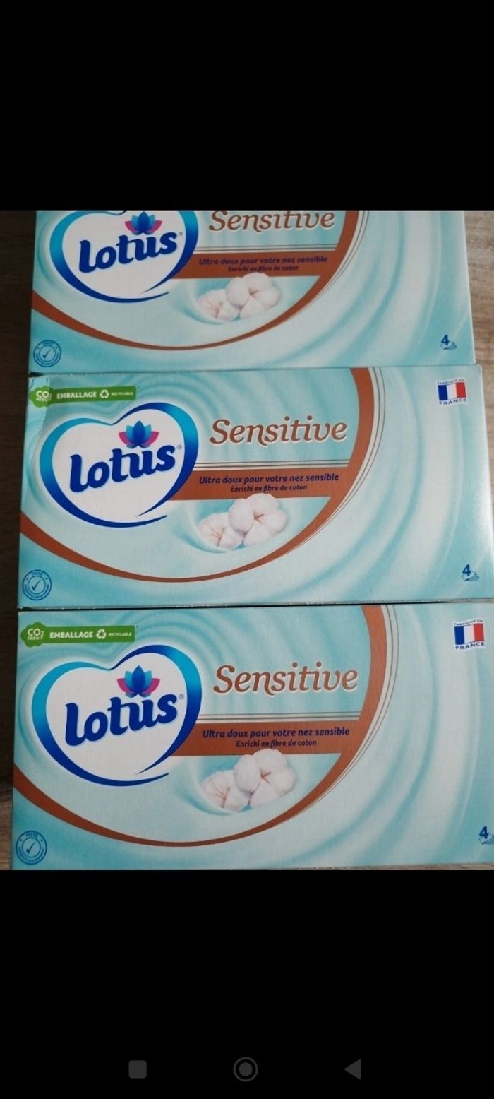 Mouchoirs - photo numéro 2