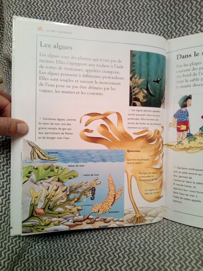La Mer - Ma première encyclopédie - Ed. Nathan (pour France Loisirs) - photo numéro 6