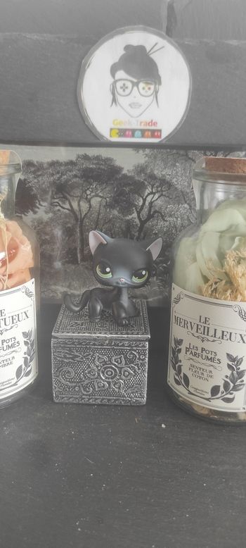 Littlest Petshop Pet Shop LPS Authentic  Authentique cat Shorthair European 336