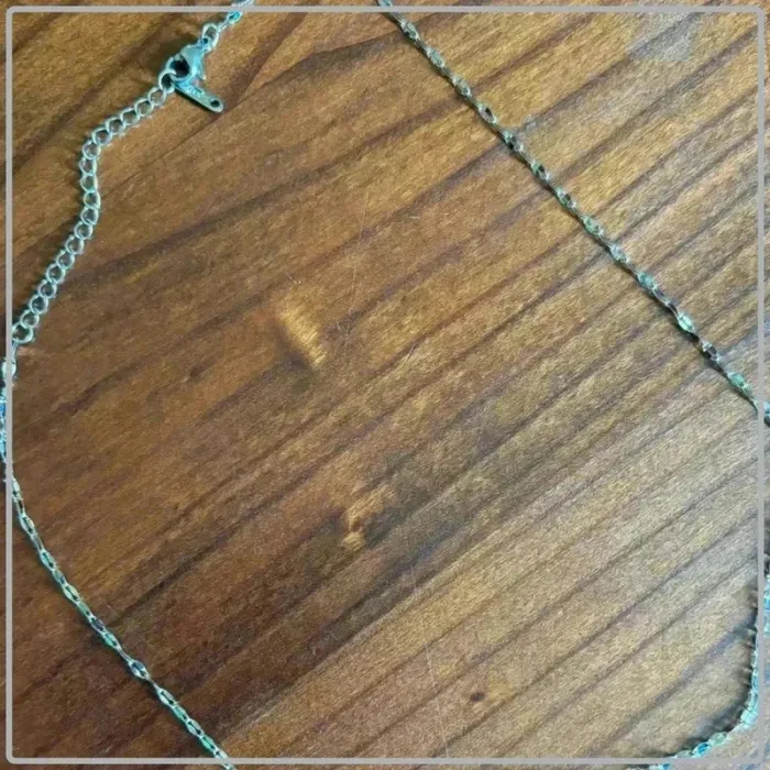 Chaine courte - photo numéro 3