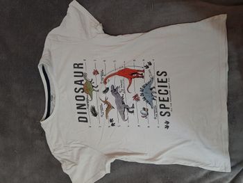 T-Shirt crème dinosaure 12ans