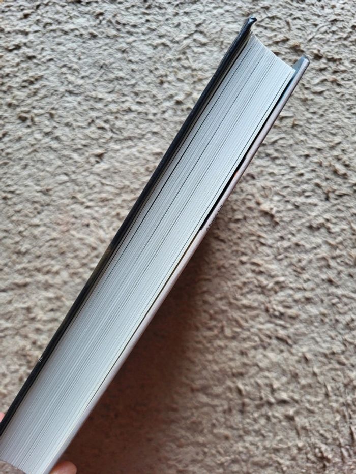 Livre L'enfant des autres de Jacquelyn Mitchard - photo numéro 3