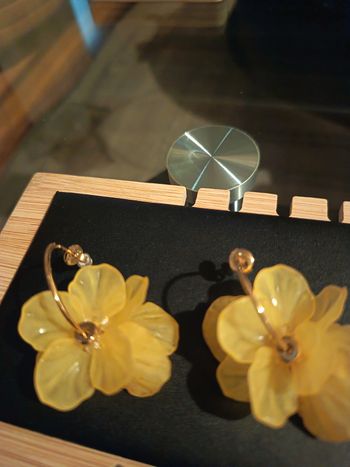 Boucles d'oreilles en acier inoxydable.