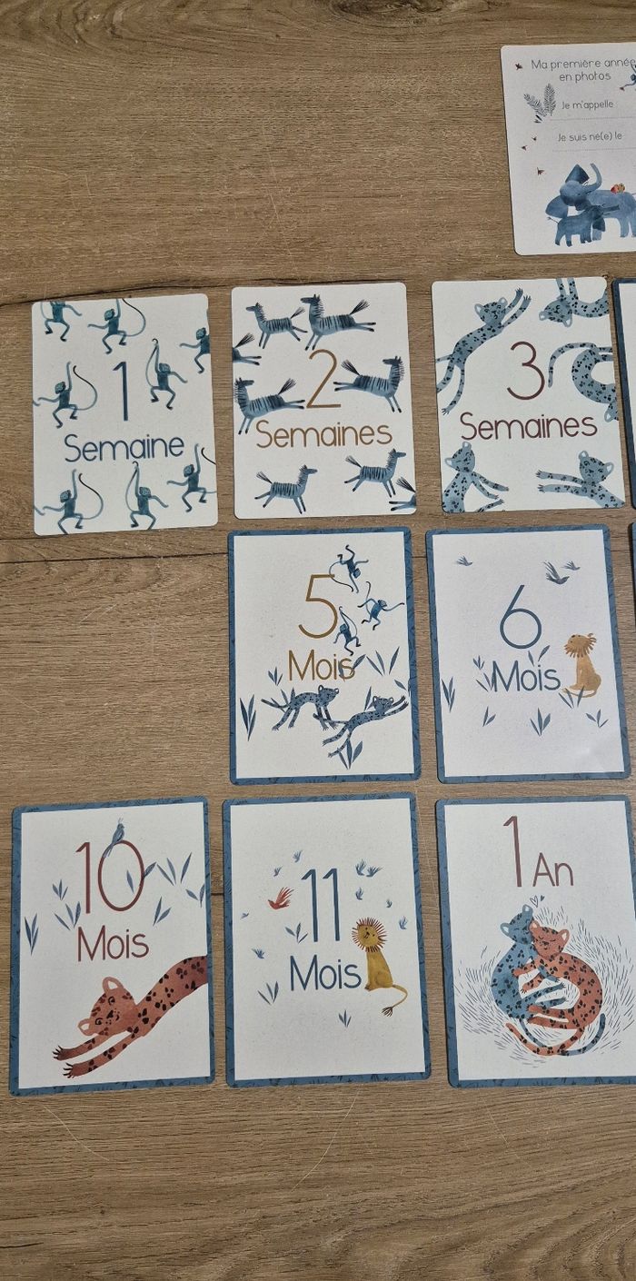 Cartes mes 12 premiers mois Moulin Roty - photo numéro 5