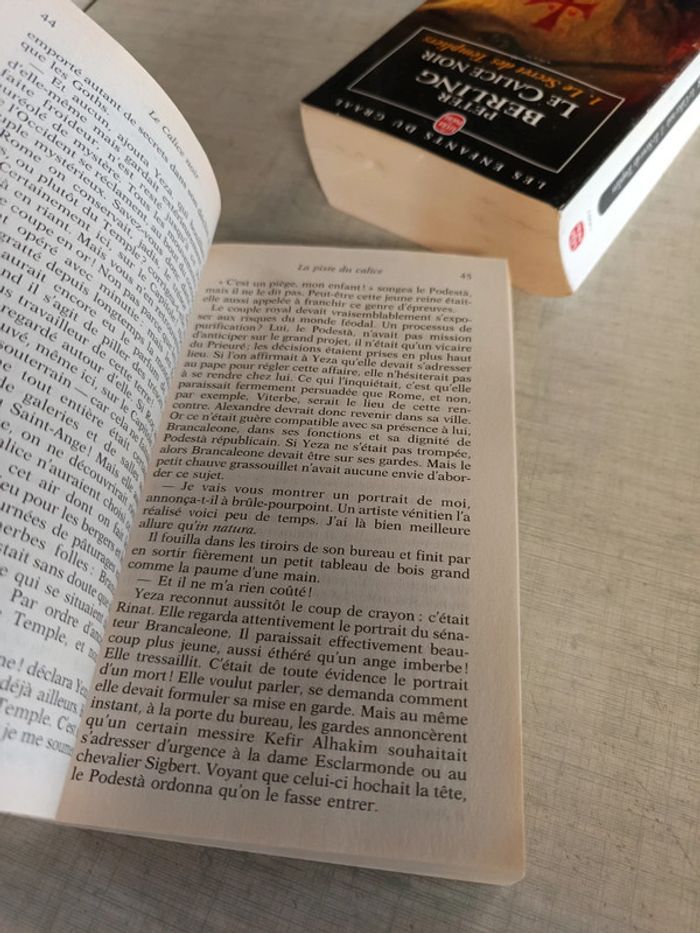Lot 2 livres le calice noir 1 et 2 - photo numéro 5