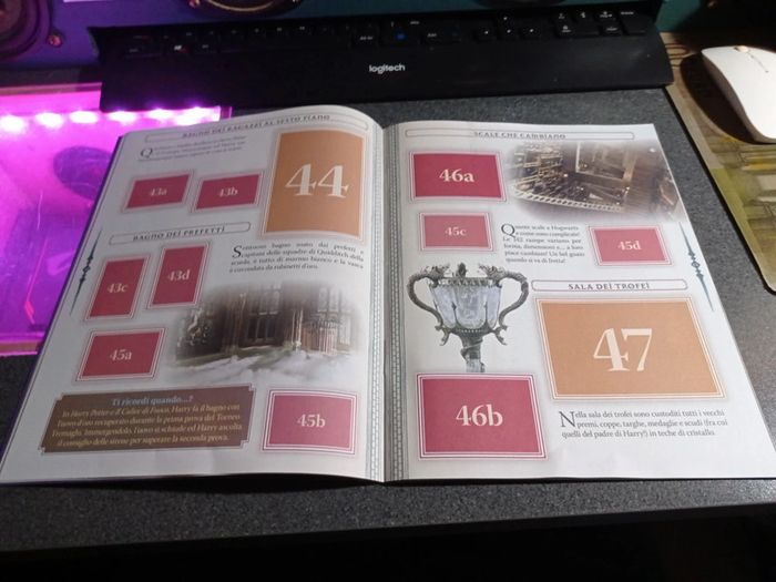 harry potter panini - photo numéro 9