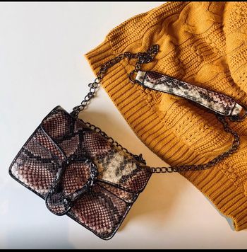Petit sac python