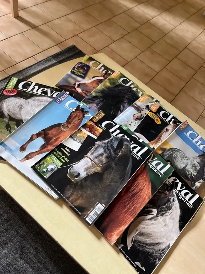 Lot de 10 anciens magazines sur les chevaux