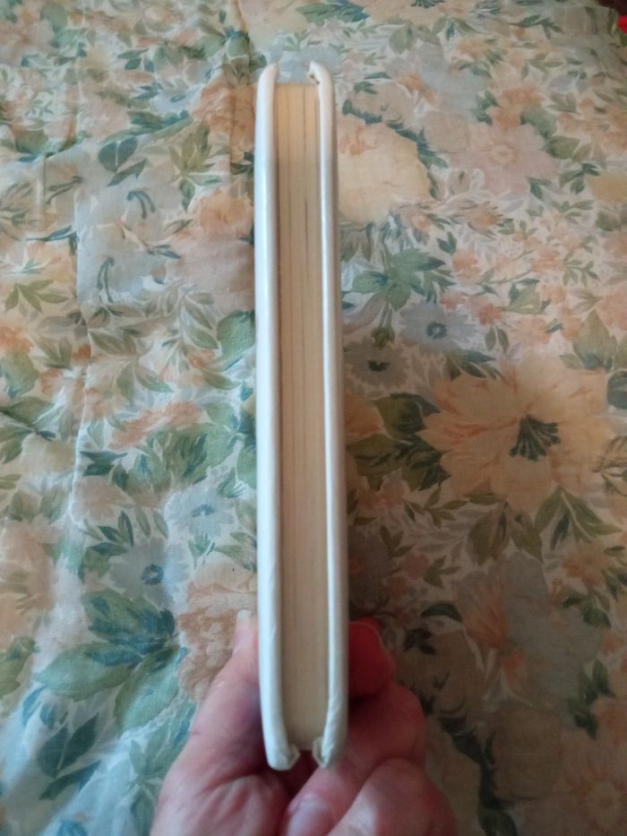 P'tite fille, Lou joue au vétérinaire - photo numéro 4