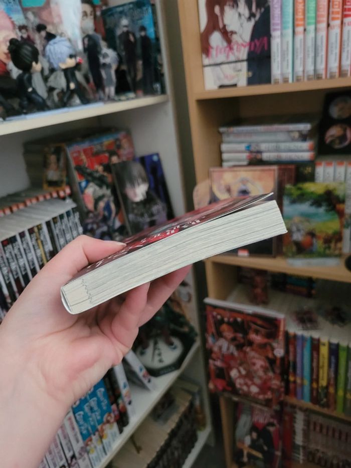 Manga yaoi beast of blood - photo numéro 4