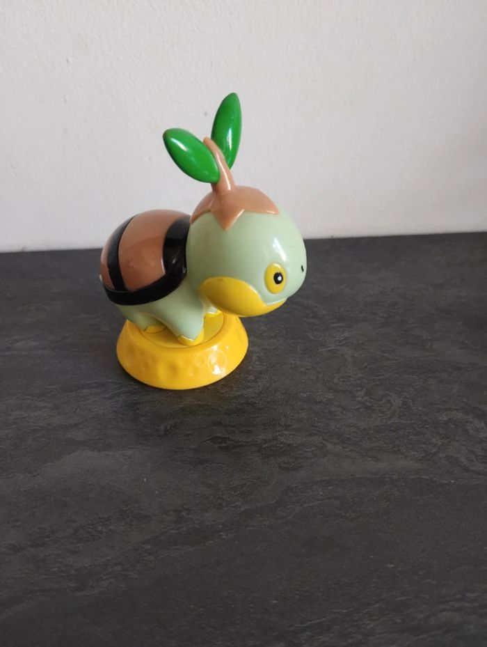 Tortipouss - photo numéro 2