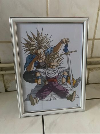 Cadre dragon ball
