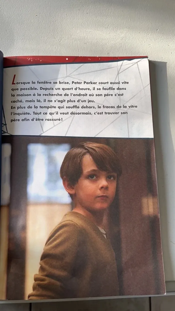 The Amazing Spiderman livre du film - photo numéro 3