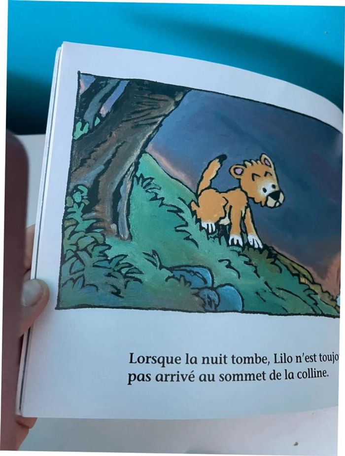 Livre école des loisirs derrière la colline - photo numéro 3