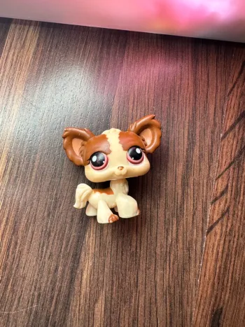 Petshop chien