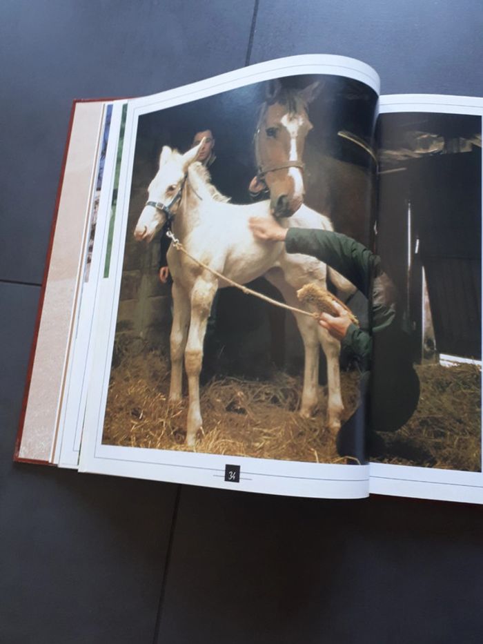 Très beau livre le grand livre des chevaux - photo numéro 8