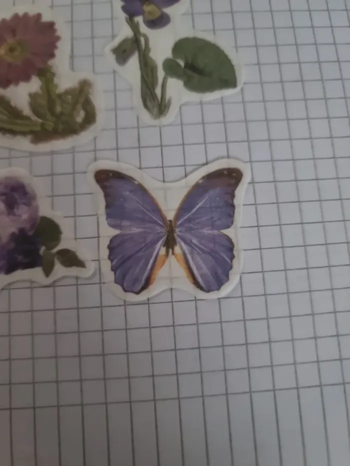 Lot stickers fleuri papier (lot D) - photo numéro 4