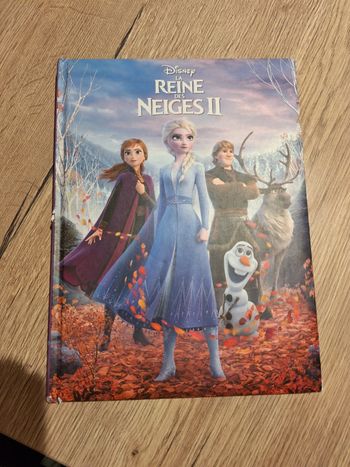 Livre reine des neiges 2