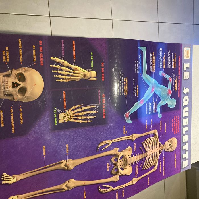 Affiche 50 x70 cm plastifiée 50x70 cm