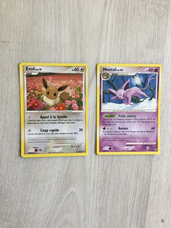 Cartes pokemon evoli et mentali