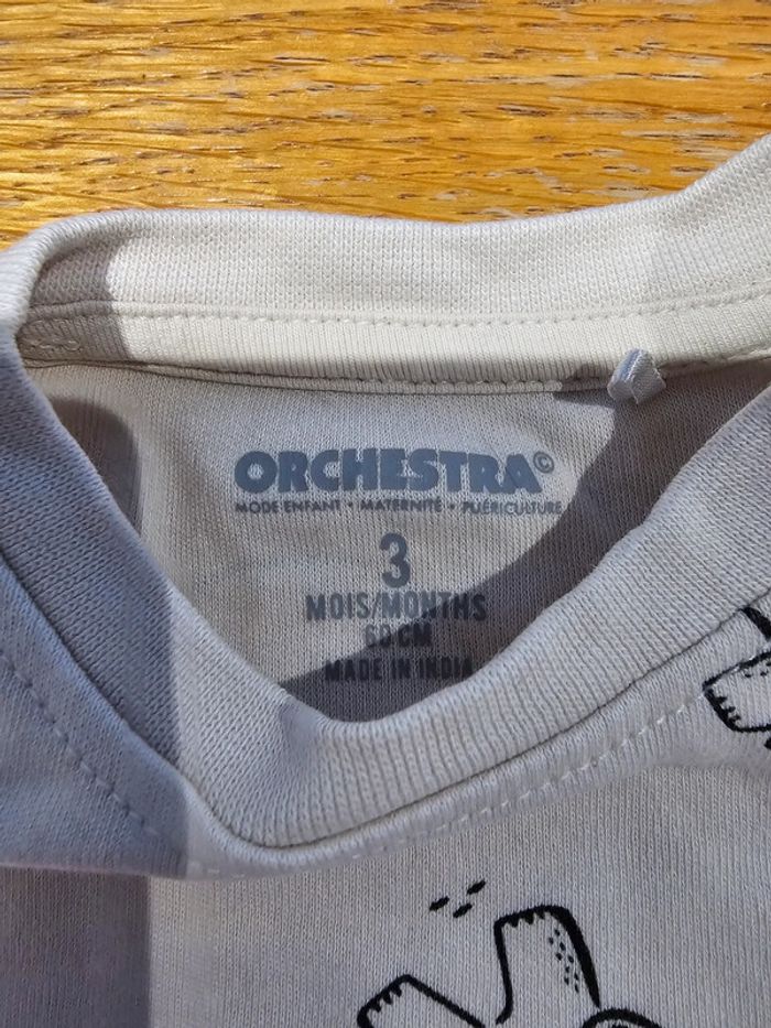 Ensemble Orchestra - photo numéro 8