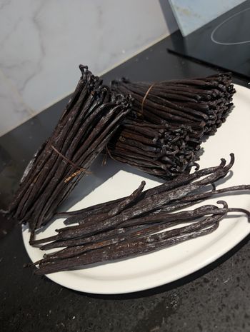 10 vanille bourbon de Madagascar