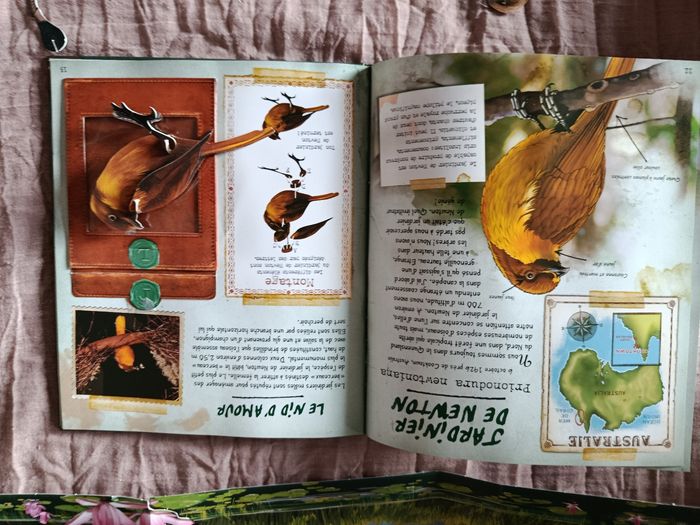 Livre sur les oiseaux exotiques - photo numéro 8