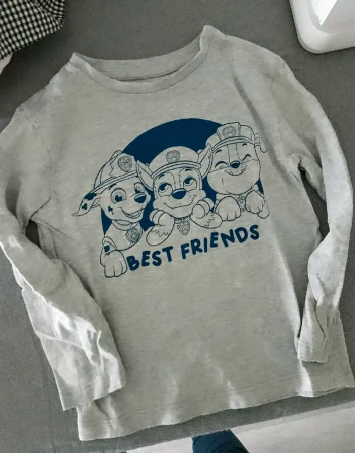 Pull paw patrol
