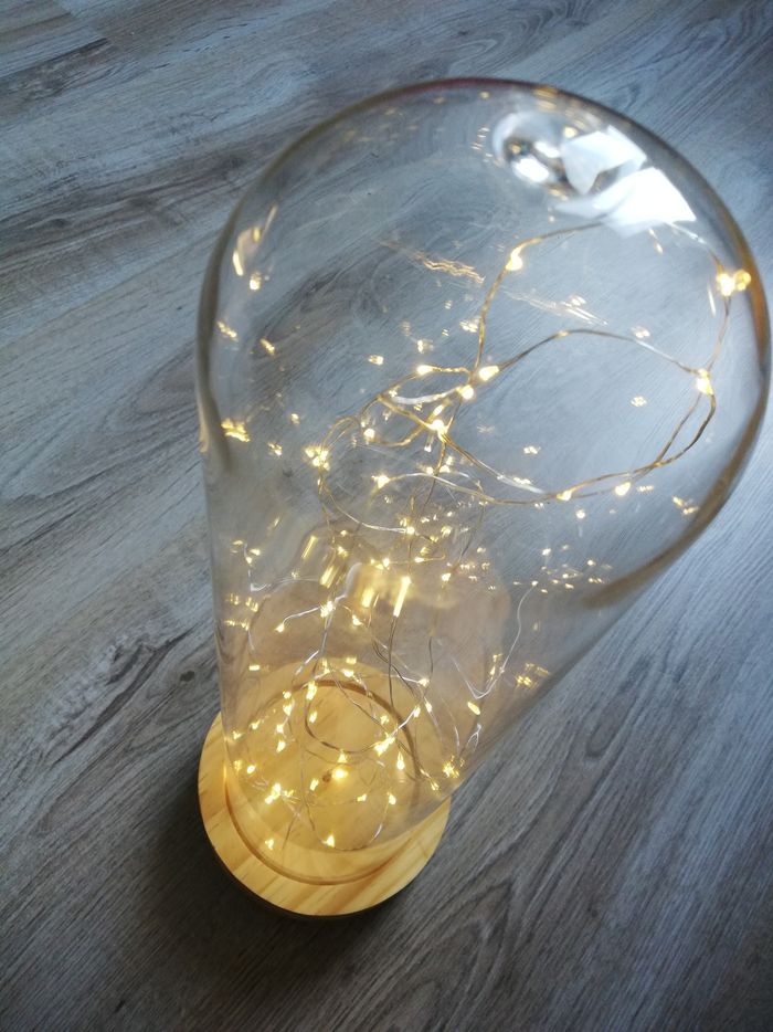 Dôme en verre - photo numéro 4