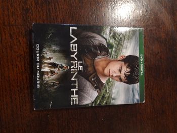 Dvd le labyrinthe 