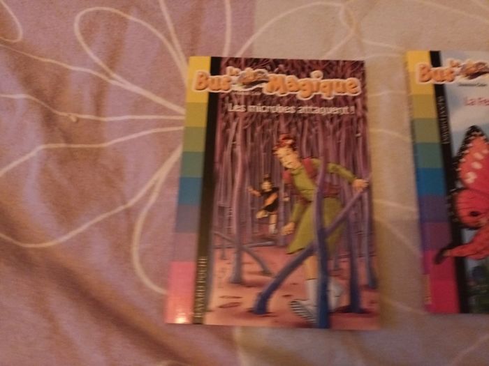 Lot de 2 livres le bus magique - photo numéro 2