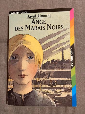 Livre Ange des Marais Noirs