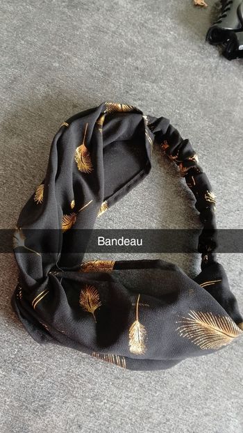 Bandeau plumes 