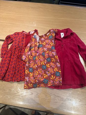 3 robes (2 du pareil au même) 1 palimino