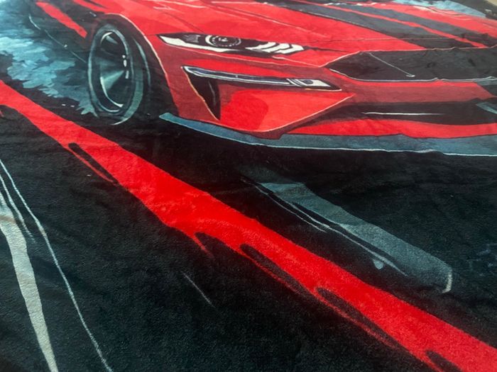 Couverture voiture - photo numéro 3