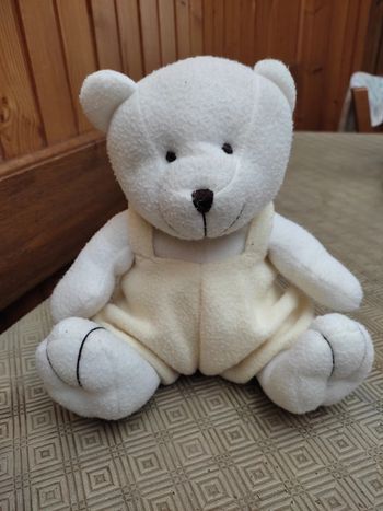 Ours en peluche