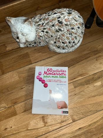 60 activités Montessori pour mon bébé très bon état