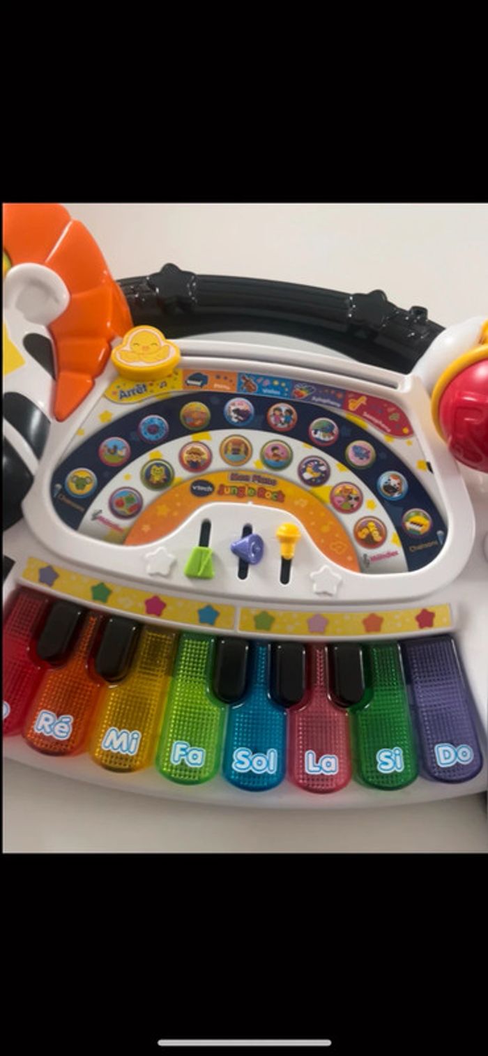 Piano zèbre - photo numéro 2