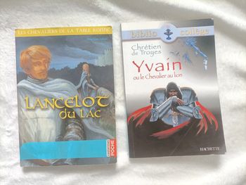 Lot chevalerie 5e : Yvain, Lancelot, Tristan & Perceval